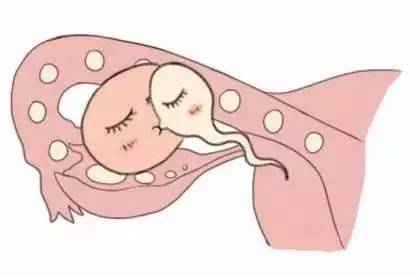 供卵代生医院代生包成功生殖医学中心